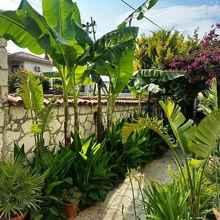 Ala Ξενοδοχείο