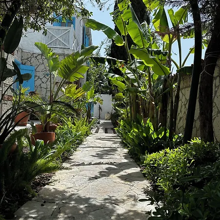 מלון Ala אלאקאטי